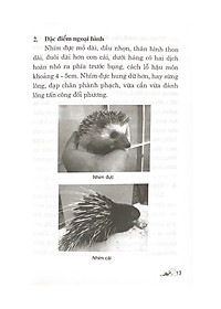 product-img-10