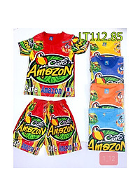 product-img-6