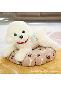product-img-8