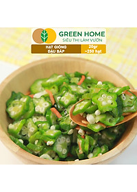 product-img-6