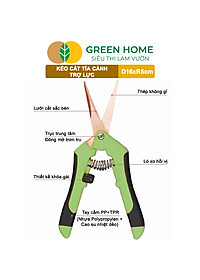Kéo Cắt Cành GreenHome, D16,5xR4,5cm, Inox, Mũi Nhọn, Siêu Bén, Không Gỉ, Có Khoá An Toàn, Nhiều Màu Lựa Chọn