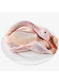 product-img-0