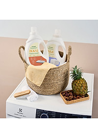 Nước Lau sàn sinh học ENZYCO 2L - Chiết xuất Bồ hòn và Enzyme Dứa