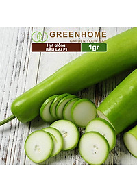 Hạt Giống Bầu Lai Greenhome, Gói 1gr~10 hạt, Dễ Trồng Quanh Năm, Nảy Mầm Cao, Thu Hoạch Nhanh, Năng Suất Cao T09