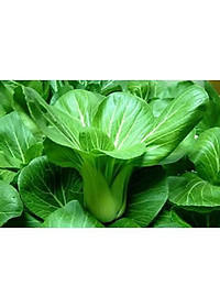 Hạt Giống Cải Thìa ( Cải Bẹ Lớn - Cải Chíp ) 20Gr- Trồng Rau Xanh Rau Sạch Bằng Đất Sạch, Mùn Dừa Và Phân Hữu Cơ - Phú Nông