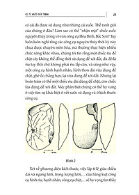 product-img-4
