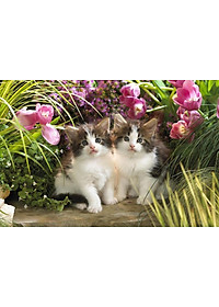 Bộ tranh xếp hình 150 mảnh – Miu Con 