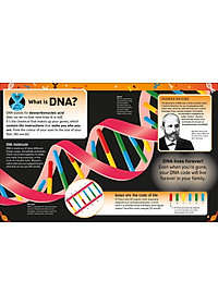 The Dna Book: Discover What Makes You You