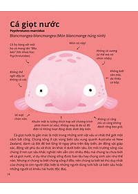 product-img-13
