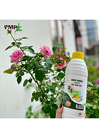product-img-6