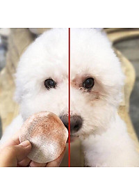 Bông lau vết ố mắt / Bông vệ sinh tai cho chó mèo