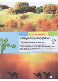 Sách Bách Khoa Tri Thức Đầu Đời Cho Trẻ Em - Trái Đất Diệu Kỳ - Khám Phá "Cơ Thể" Trái Đất