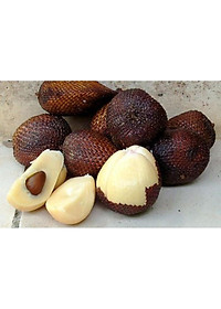 product-img-6