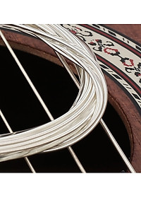 Dây Đàn Guitar Nylon I Dây Đàn Guitar Classic Chất Lượng