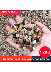 product-img-1