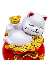 product-img-6