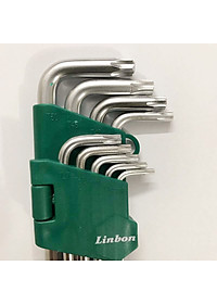 9 CÂY BỘ LỤC GIÁC BÔNG TRUNG