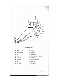 product-img-9