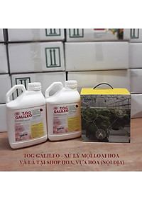 Dung Dịch Xử Lý Hoa TOG Galileo của ISRAEL (Chai 1 Lít) dùng bảo quản hoa cắt cành tươi lâu tại Nhà Vườn Trồng Hoa, Vựa Hoa và Chợ Sỉ Hoa. Tỷ lệ dung dịch 0.1% tức chai 1 Lít TOG pha được 1.000 Lít dung dịch xử lý hoa