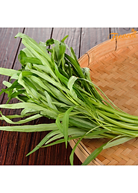 HẠT GIỐNG RAU MUỐNG LÁ TRE RADO 12