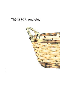 product-img-4