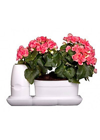 product-img-17