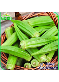 Hạt giống Đậu Bắp Cao Sản, Trồng Quanh Năm, Dễ Chăm Sóc (gói 20 gram) - Hạt giống Rạng Đông