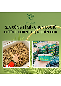 Nụ Trầm Hương Loại VIP – Hộp 100 Nụ – Trầm Tự Nhiên, Hương Trầm Ấm, Sạch – Thanh Lọc Không Gian