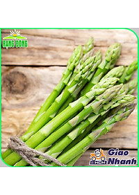 Hạt giống Măng Tây Xanh Chịu Nhiệt Tốt, Dễ Trồng, Kháng Sâu Bệnh - Hạt giống Rạng Đông