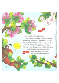product-img-5