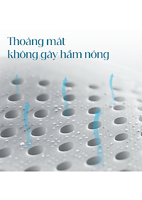 Gối Cao Su Vạn Thành Oval VTGCSO4056 (40 x 64 cm) - Trắng