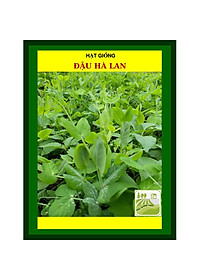 Hạt Giống Đậu Hà Lan 50 Gram Rạng Đông