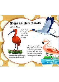 Sách Những Điều Kỳ Thú - Thú Vị Các Loài Chim