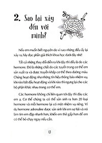 product-img-12