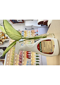 product-img-5