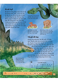 Sách Bách Khoa Tri Thức Về Khám Phá Thế Giới Cho Trẻ Em - Khủng Long (Tái Bản 2018)