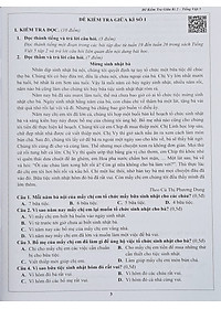 Combo Sách - Đề kiểm tra Tiếng Việt 5 học kì I + II