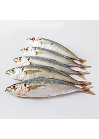 product-img-8