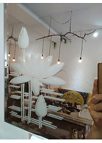 product-img-3