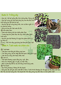 Hạt Giống Mồng Tơi Cao Sản Mồng Tơi Lá To Dễ Trồng,Giàu Dinh Dưỡng - Phú Nông Seeds 15Gr