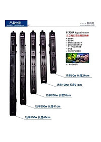 product-img-6