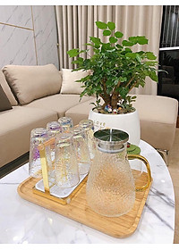 BỘ BÌNH UỐNG NƯỚC KÈM 6 CỐC THỦY TINH VIỀN VÀNG  - ANTH480