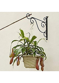 product-img-16