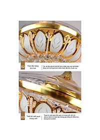 product-img-3