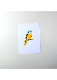 product-img-8