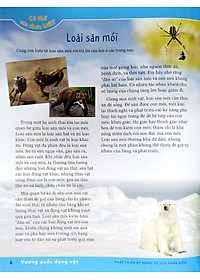 Sách Phát Triển Kỹ Năng Tư Duy Phản Biện – Lớp 5 Nâng Cao