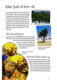 Sách Thực Vật Xinh Đẹp