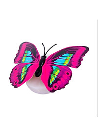product-img-10