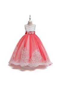 product-img-20