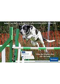 Vỉ 10 viên Inflacam kháng viêm, giảm đau trên chó (Virbac)